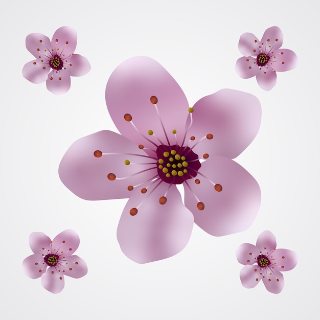 Vector cherry blossom illustration pink sakura on white isolated background