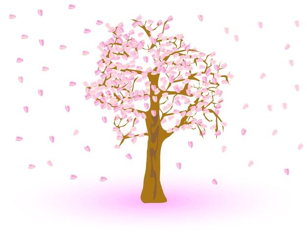 cherry blossom isolated on white background. Vector illustration.