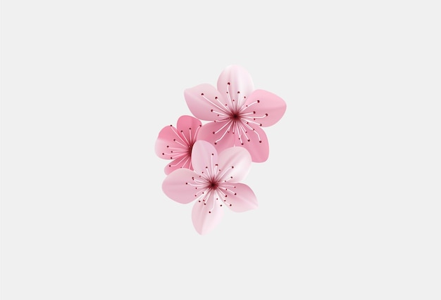 桜花 日本桜 ベクトルアイコンセット 自然 日本桜 春花 桜