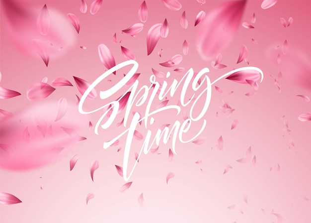 Cherry blossom petal background with Spring time lettering.  illustration 