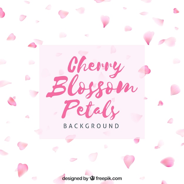 Cherry blossom petals background