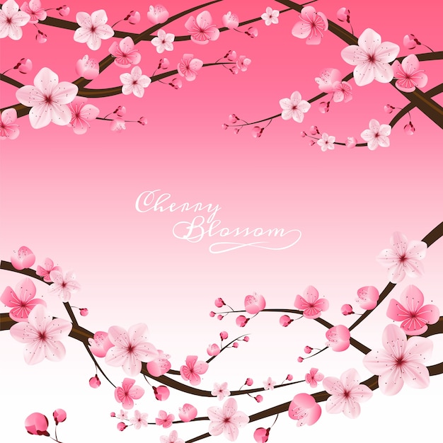 cherry blossom realistic 