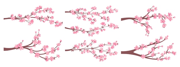 cherry blossom sakura twigs pink flowers collection japanese blooming branches plant asian vector