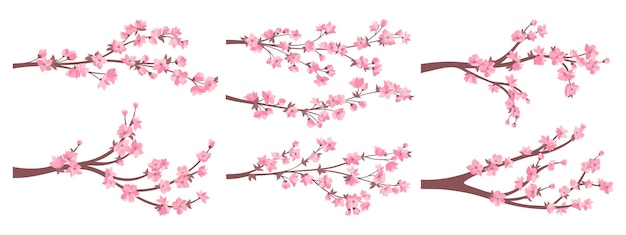 Cherry blossom sakura twigs pink flowers collection Japanese blooming branches plant Asian vector