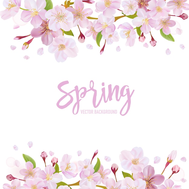 Vector cherry blossom spring background