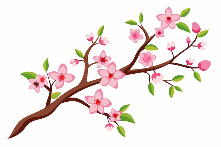 Vector cherry blossom tree with pink flowers on a white background