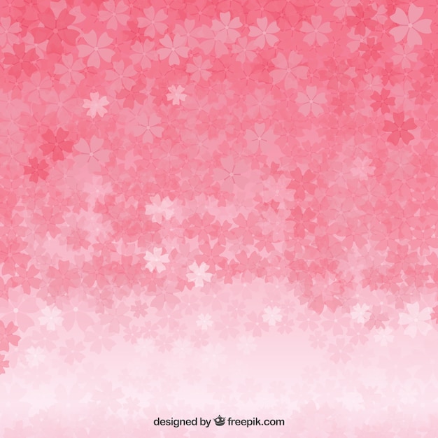 cherry blossoms background