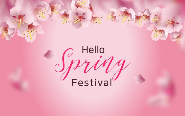 cherry blossoms spring festival