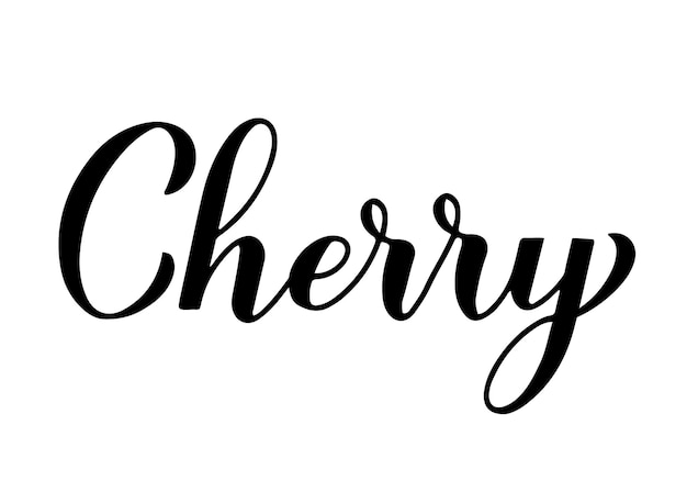 Cherry calligraphy hand lettering isolated on white Fresh summer berry Vector template for typography poster banner sticker shirt etc