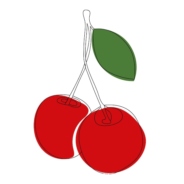 Cherry drawing line sketch, isolated, vector