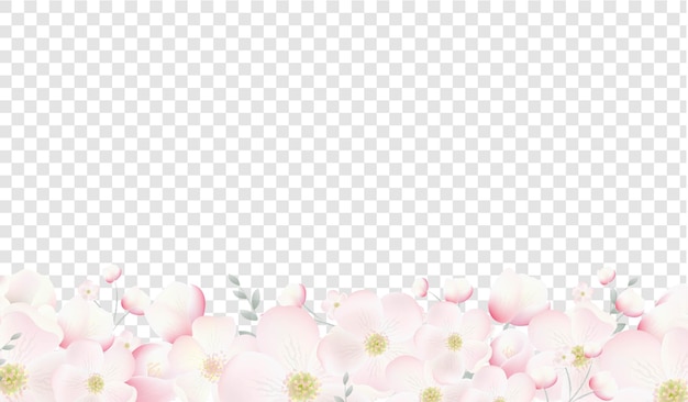 Vector cherry flower border and transparent background with gradient mesh, vector illustration