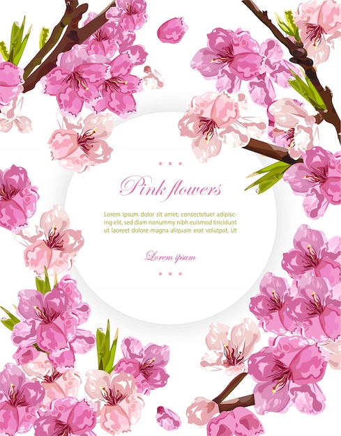 Vector cherry flowers and spring card background