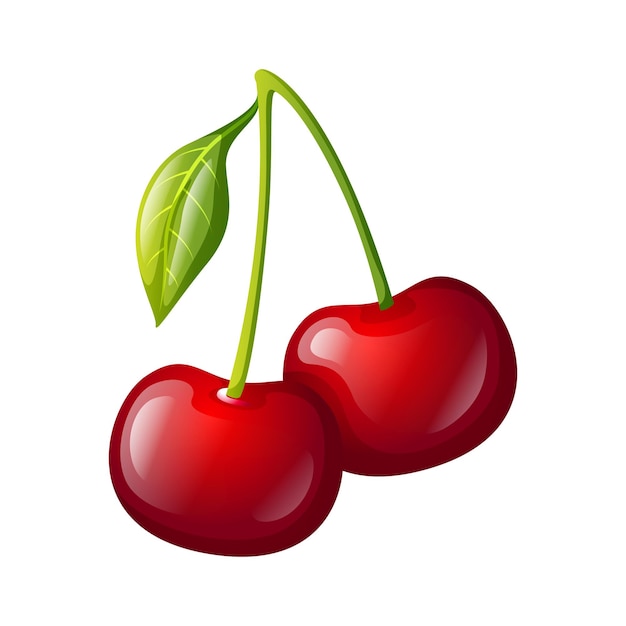 Vector cherry fruit icon design fresh fruit