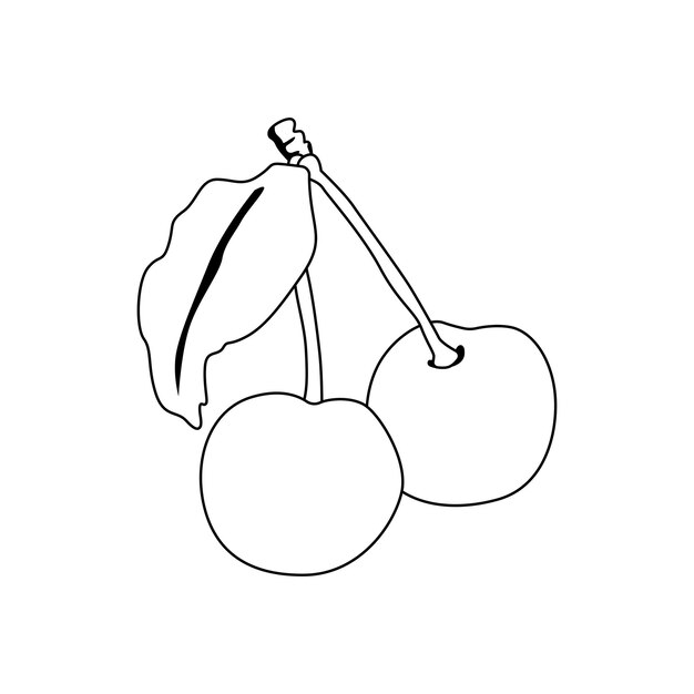 cherry fruit illustration 2d flat graphic outlined