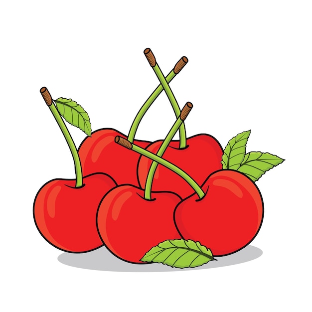 Cherry fruit Sweet cherry fruit Red Cherry fruit icon vector riped cherry cherries vector