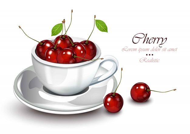 Cherry fruits in a cup realistic Vector fruits. Sweet detailed illustrations