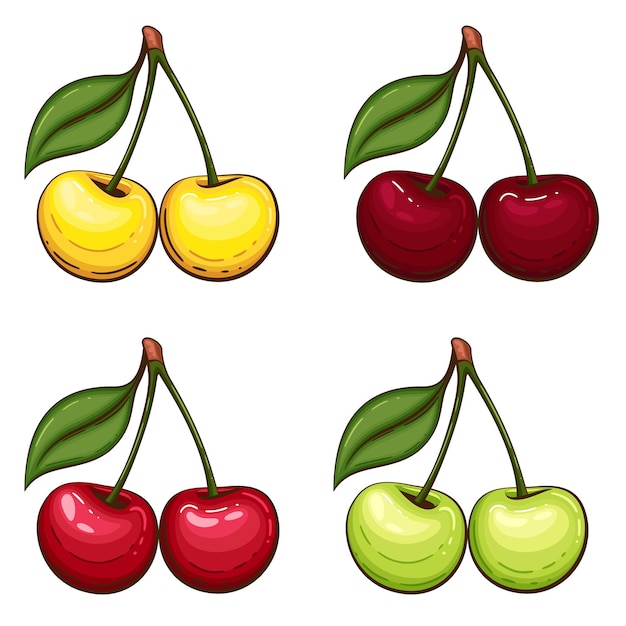 Cherry isolated vector illustration Fruits colorful illustrations isolated on white background Fr