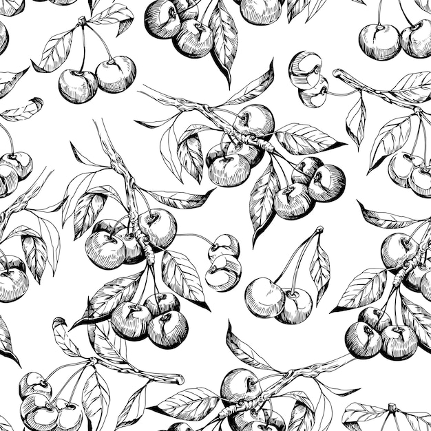 Cherry seamless pattern sketch style vector design elements transparent background