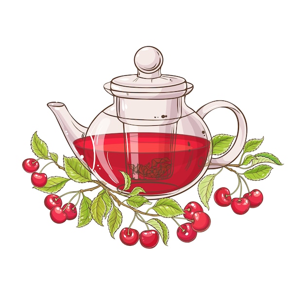 cherry tea vector illustration on white background