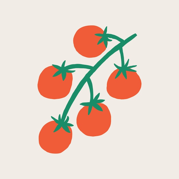 Cherry Tomato Branch Vine