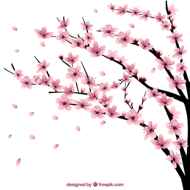 Vector cherry tree with flowers