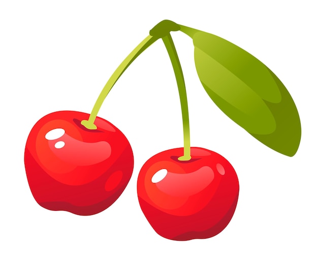 Cherry vector illustration isolated on a white background Ripe berry with a twig