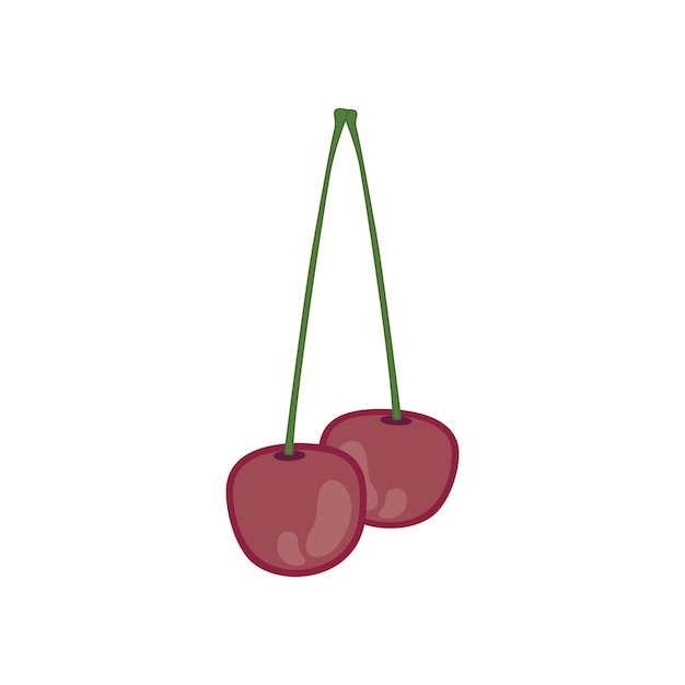 Cherry vector illustration with a white background and a flat design