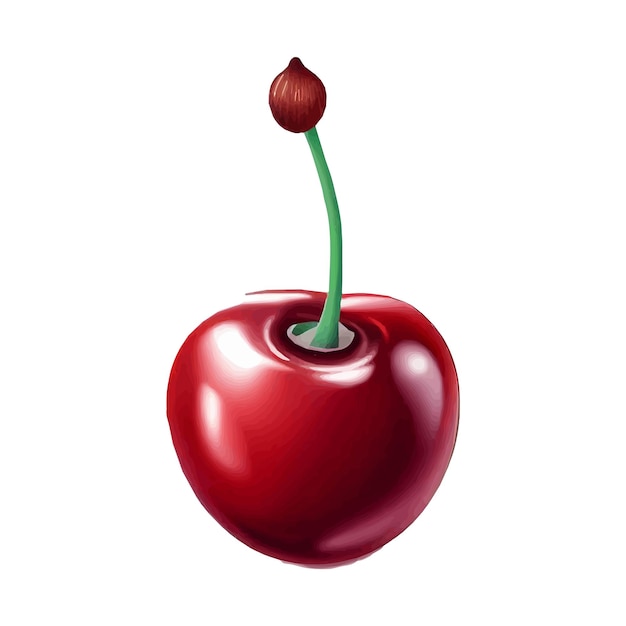 Cherry vector illustration