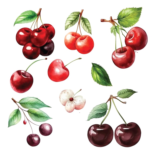 Коллекция акварельных красок Cherry