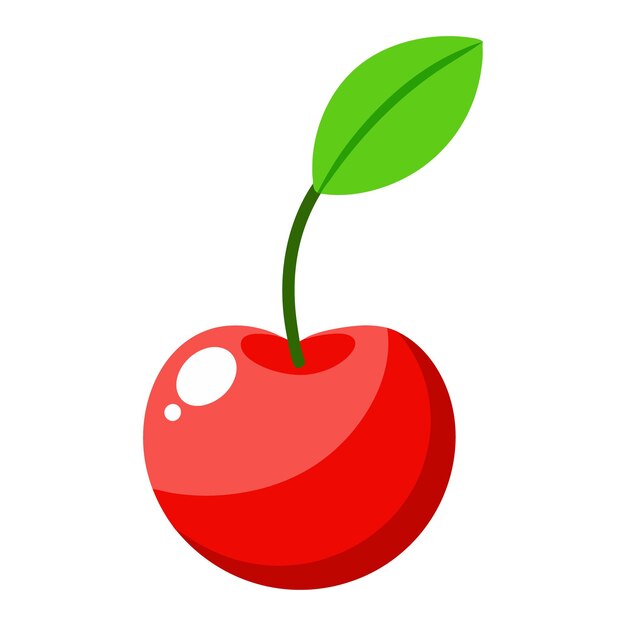 cherry with leaf vector illustration