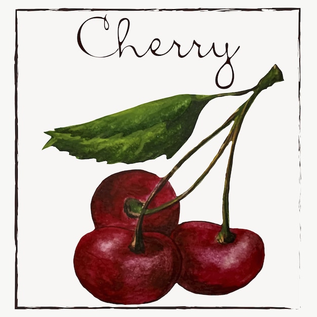 CherryWatercolor botanische illustratie collectie