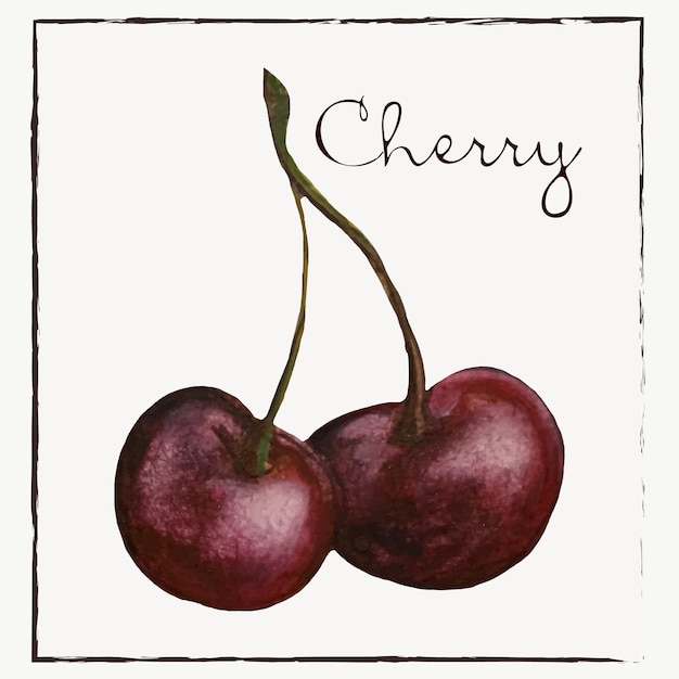 CherryWatercolor botanische illustratie collectie