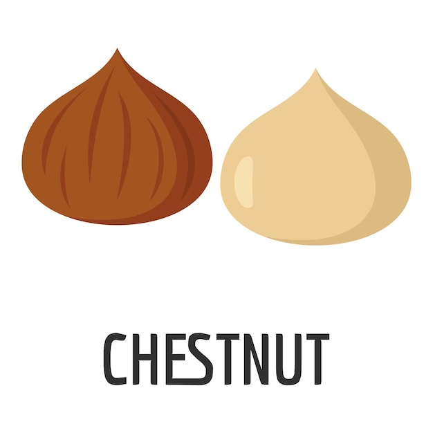 Chestnut icon Flat illustration of chestnut vector icon for web