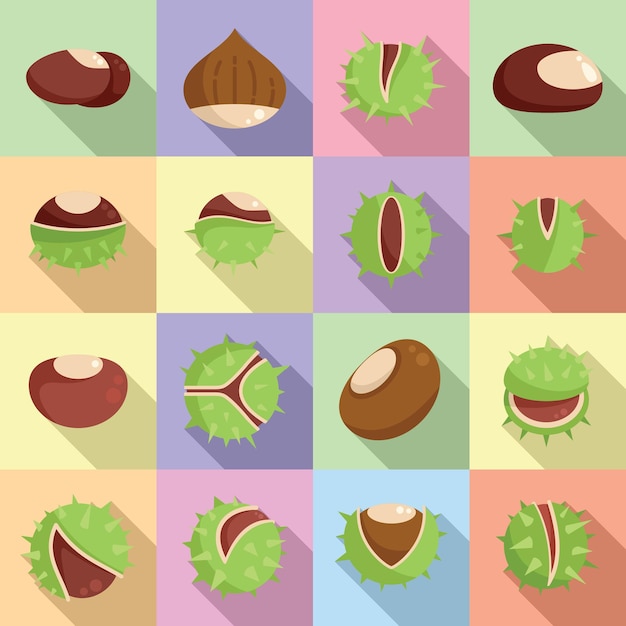 Chestnut icons set flat vector. Horse food. Autumn tree