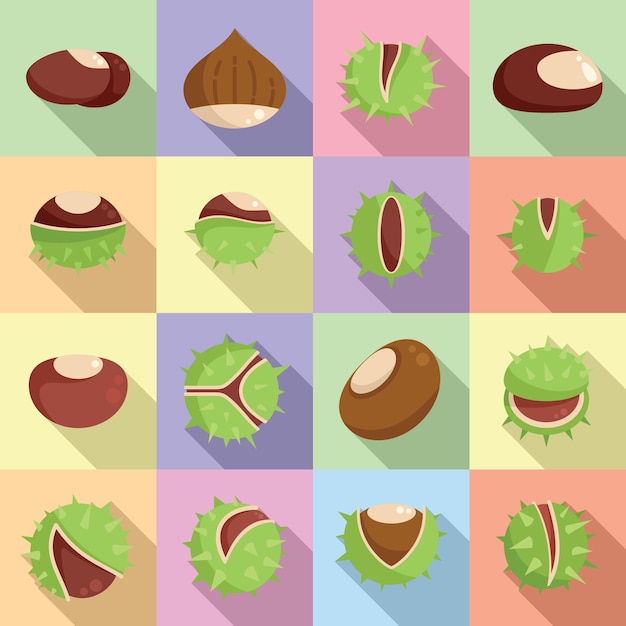 Chestnut icons set flat vector. horse food. autumn tree