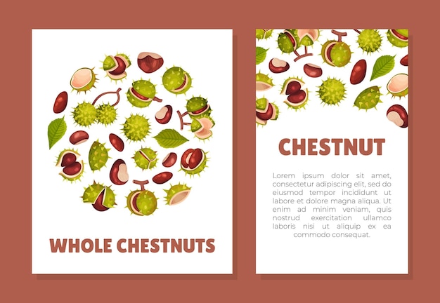 Vector chestnut plant banner design with brown fruit in green spiky husk vector template