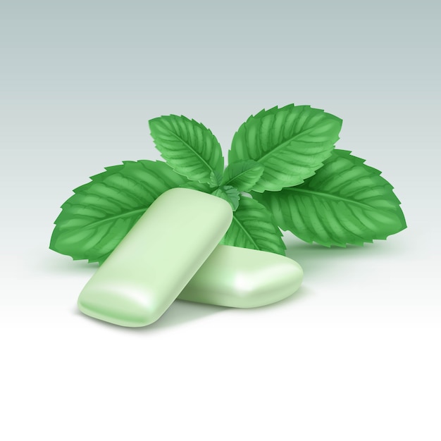 Chewing Gum with Fresh Mint Leaves Isolated on White