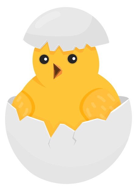 Vector chick hatch from egg cute baby bird birth