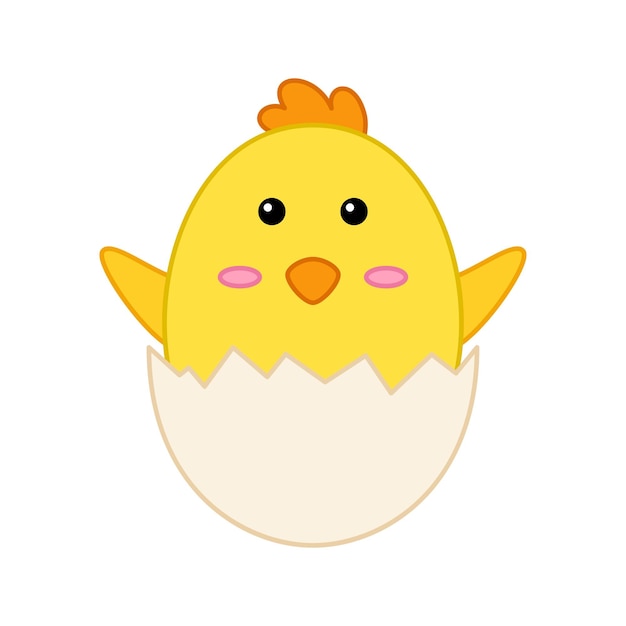 Chick isolated on white background Vector illustration