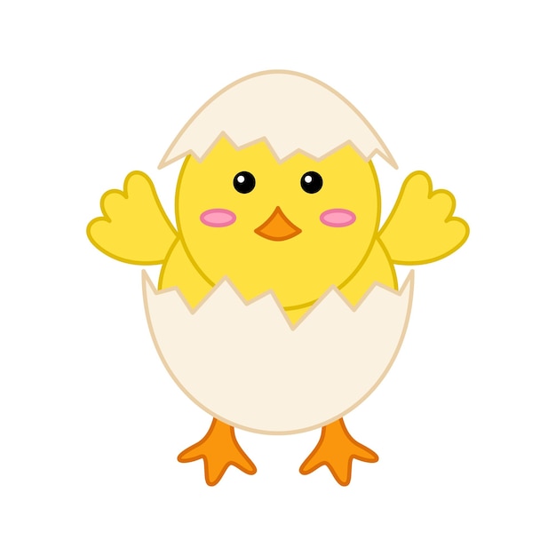 chick isolated on white background vector illustration