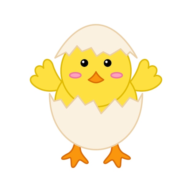 Chick isolated on white background Vector illustration