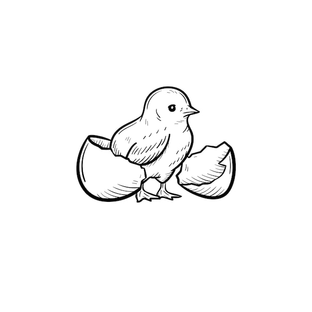 卵の殻から覗くひよこ手描きベクトルアウトライン落書きアイコン 白い背景で隔離の印刷物 ウェブ モバイル インフォグラフィックのひよこ頭スケッチイラスト プレミアムベクター 卵の殻から覗くひよこ手描きベクトルアウトライン落書きアイコン 白い背景で隔離の印刷物 ウェブ モバイル インフォグラフィックのひよこ頭スケッチイラスト プレミアムベクター