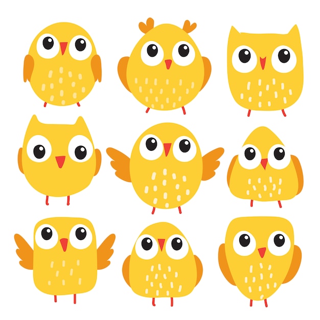 Chick vector collection design