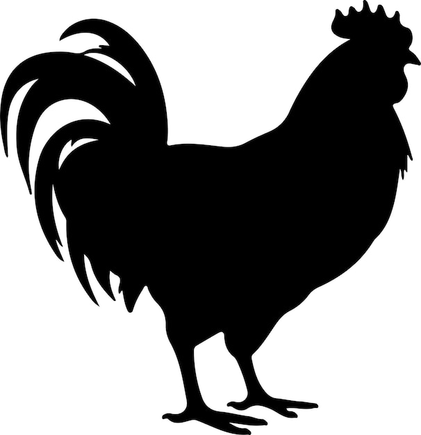 chicken black silhouette with transparent background