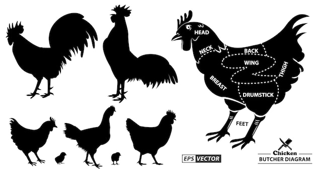 鶏肉屋の図または鶏肉屋の概念epsベクトルの一部