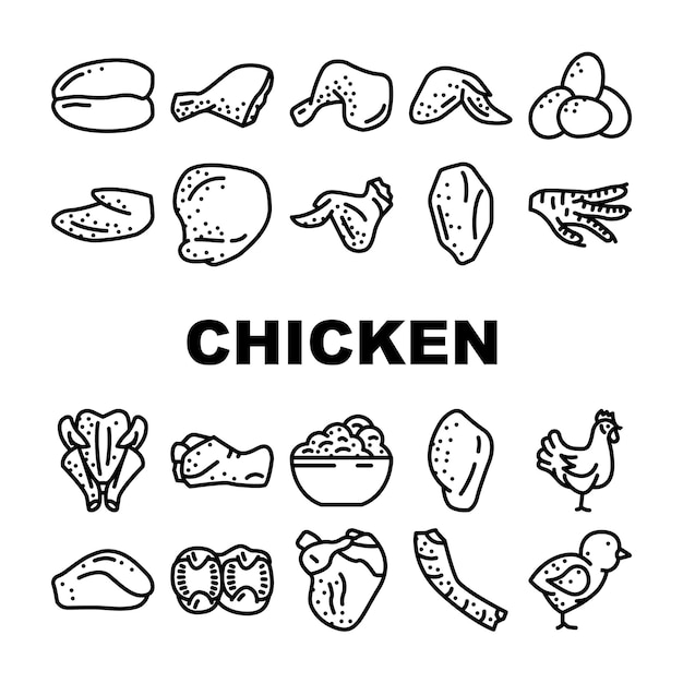 Vector chicken carcass meat and organs icons set vector chicken broiler skinless and boneless fillet and quarter back wings and drumstick liver and heart little chick farmland bird color illustrations