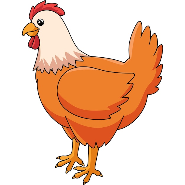 Vector chicken cartoon colored clipart illustration