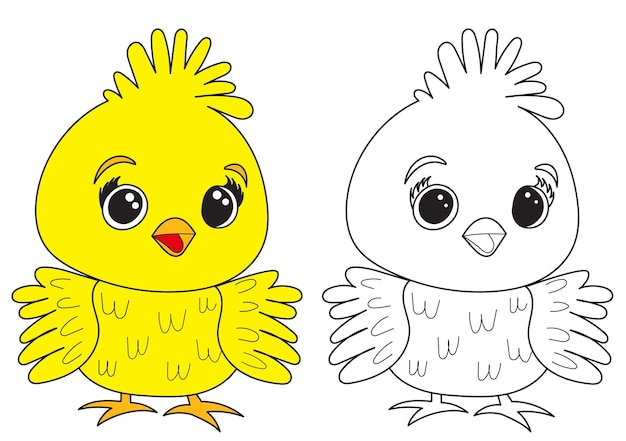 Vector chicken cartoon coloring book isolated vector