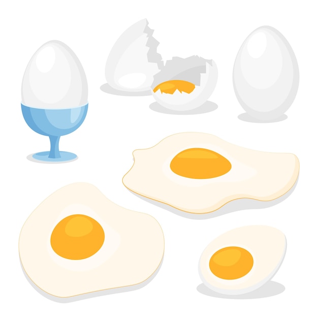 Chicken cartoon eggs in various forms fresh whole fried boiled sliced and half boiled egg baking and cooking ingredients eggshell and proteins icon  isolated on white background