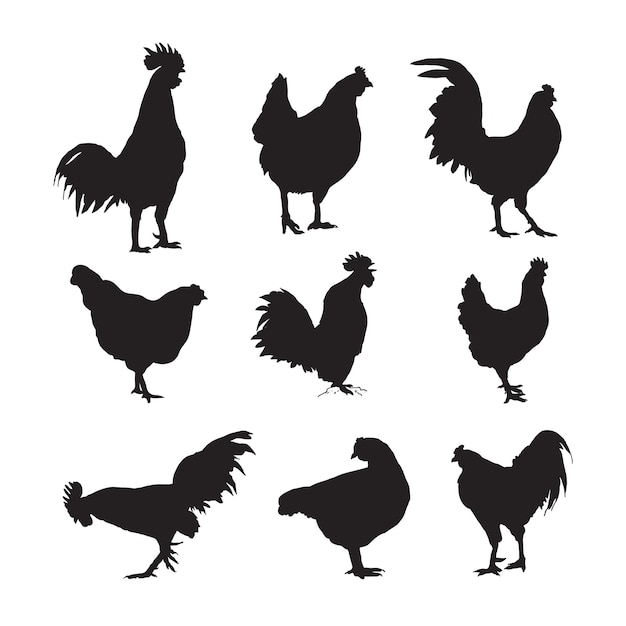 chicken collection silhouette image